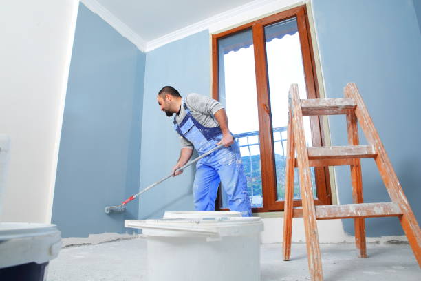 Best Mold Remediation for Vacation Homes  in USA